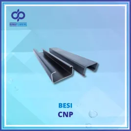 CNP