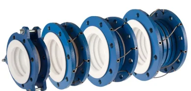 Expansion Joint PTFE